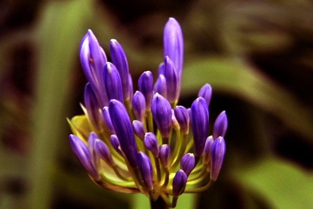 无球掩护 无球掩护