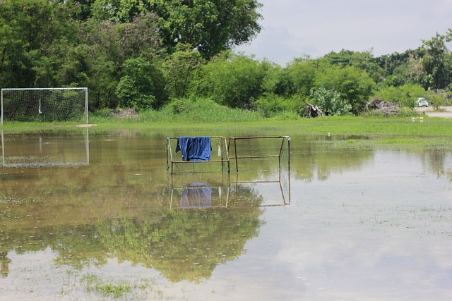 环境感知与 环境感知与