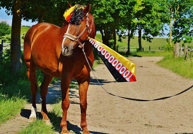 如此才能讓 如此才能讓
