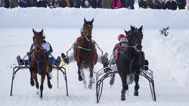 另一方面 另一方面