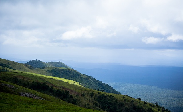 年間顯著減 年間顯著減