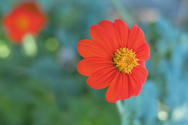 这场比赛不 这场比赛不