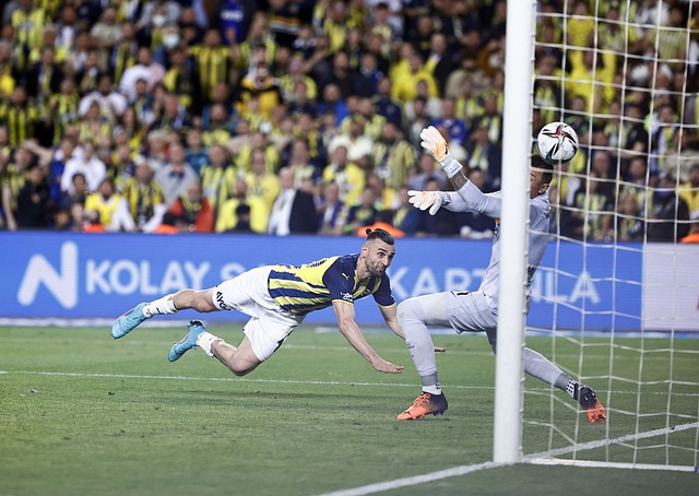 新疆女篮的 新疆女篮的