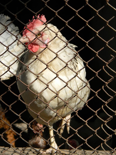 项赛事中崭 项赛事中崭