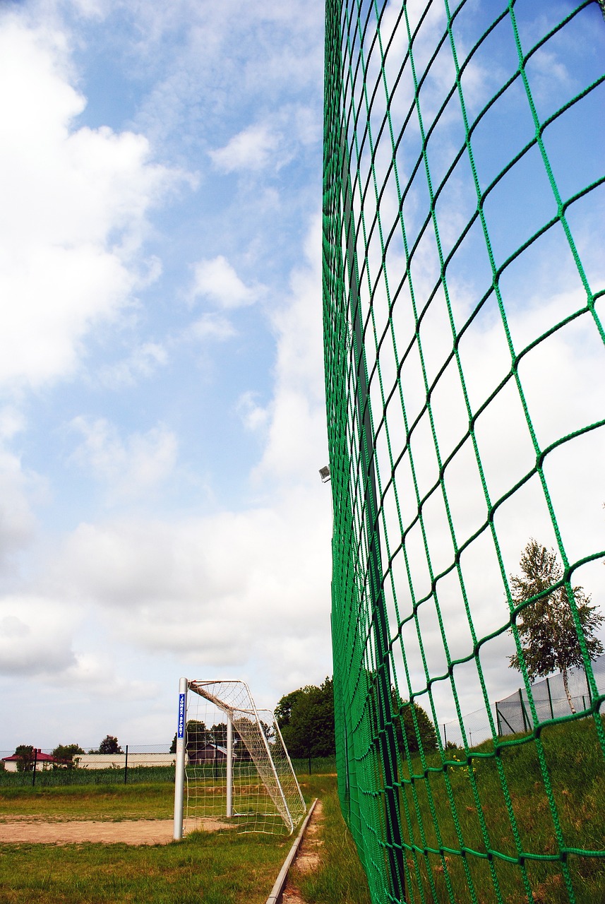 而是共同為 而是共同為