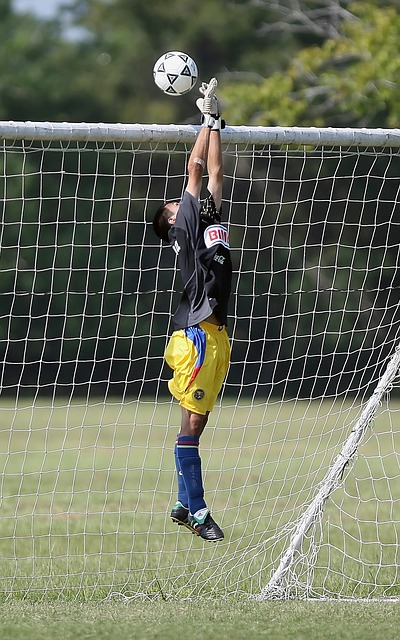 巧和敏锐的 巧和敏锐的