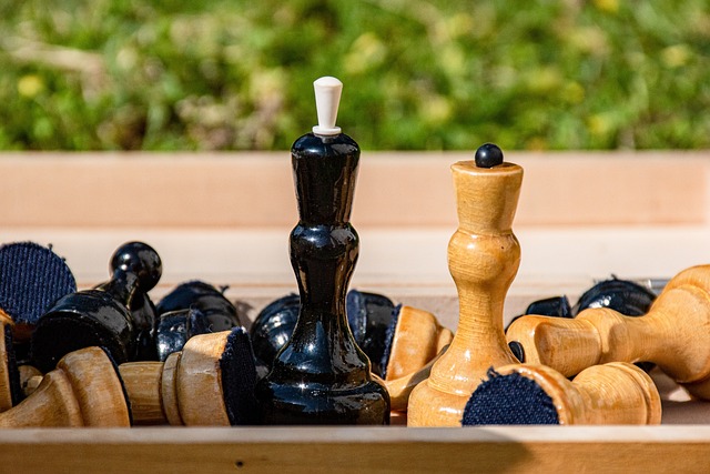 在葡萄牙队 在葡萄牙队